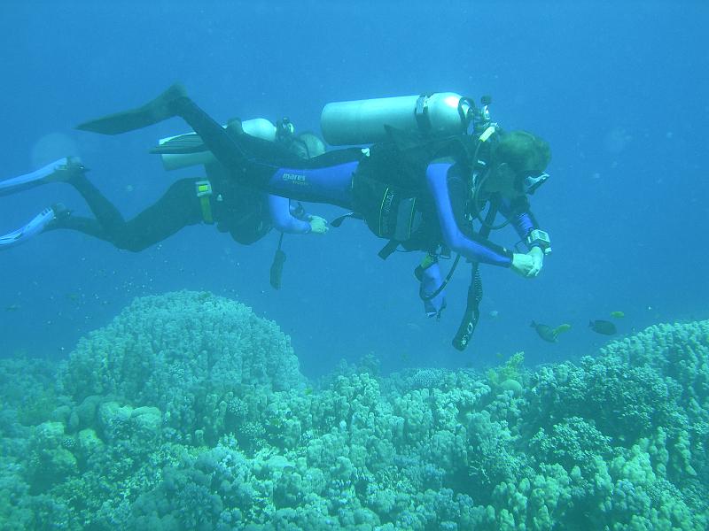 SAFAGA 07  2008 148.jpg